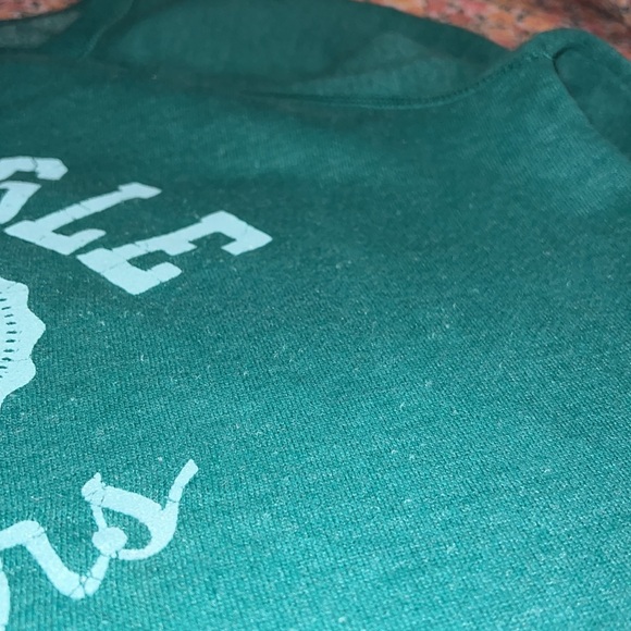 American Eagle Vintage Crewneck Sweatshirt - Picture 7 of 7